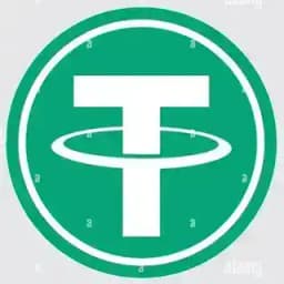 USDT Contest Profile