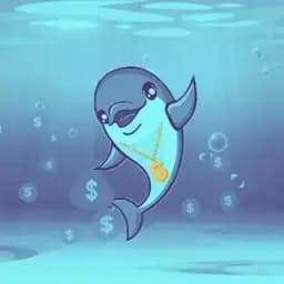Dolphin Dollars Profile