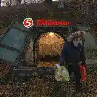 Бункер Сидоровича Profile