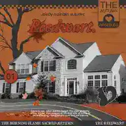 Reedwart’s. Profile