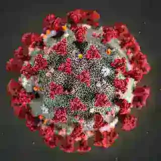 Коронавірус | Новини Profile