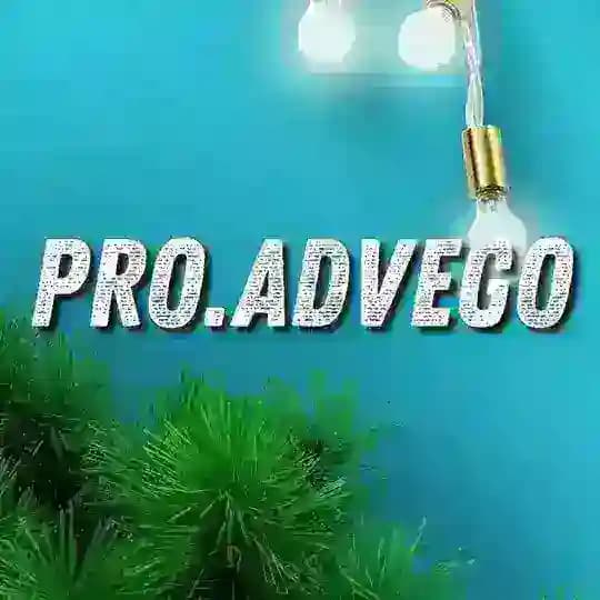PRO.Advego Profile