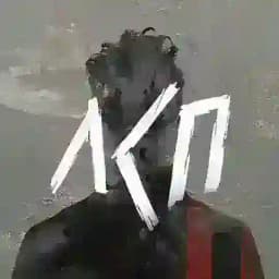 АРХИВ ЛСП Profile