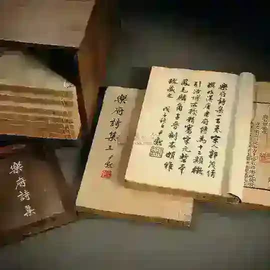 Beijing school(北京S) Profile