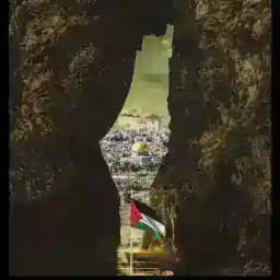 Booma🦉❤ Profile