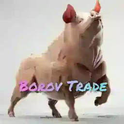 Borov Trade Profile