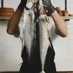 Фишмарт Profile