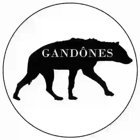 GANDÔNES Profile