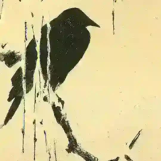 Хайку | 俳句 Profile