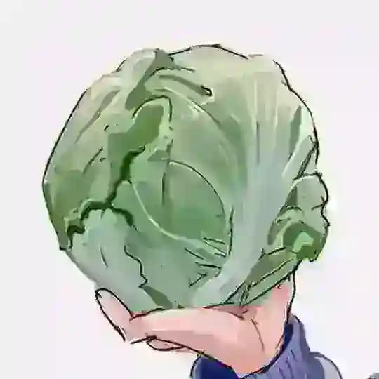 dev optozorax Profile