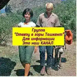 Отвезу в горы Ташкент Profile