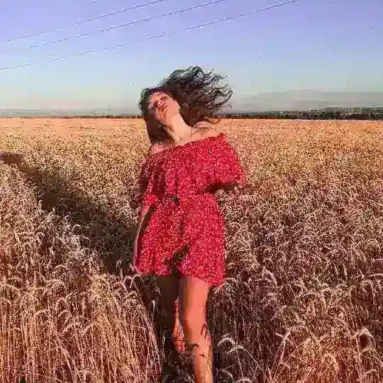 ᴘᴀɴᴅ🌸ʀᴀ Profile