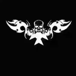 Made in ROUTINE Profile