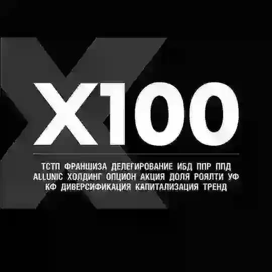 Словарь терминов и инсайтов X100 Profile