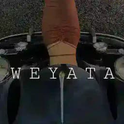 w e y a t a Profile