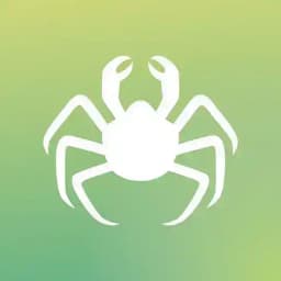 Design Contest Profile