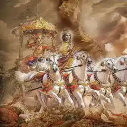 Channel for sale Profile