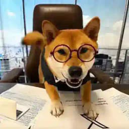 Floki X CEO - PORTAL Profile