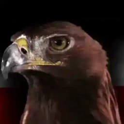 GlobalPatriots Profile