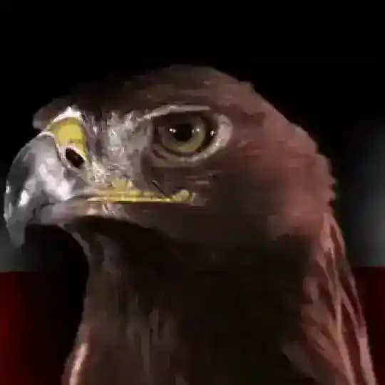 GlobalPatriots Profile