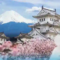 Japan News🇯🇵 Profile