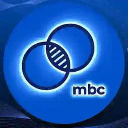 Almaty Math Battles / AMB 2025 Profile