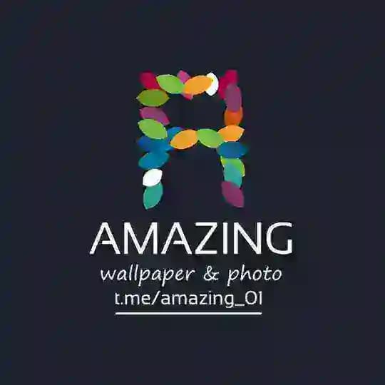📸amazing📸 Profile