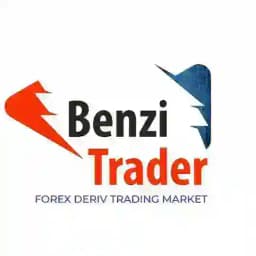 𝗕𝗘𝗡𝗭𝗜 𝗙𝗢𝗥𝗘𝗫 𝗗𝗘𝗥𝗜𝗩 𝗠𝗔𝗥𝗞𝗘𝗧 ⱽᵉʳⁱᶠⁱᵉᵈ Profile