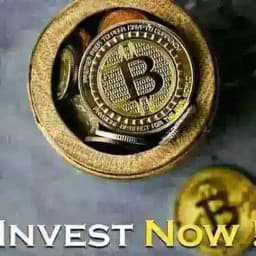 Best Binary trading.com Profile