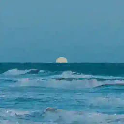 море в груди Profile