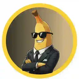 Biznana Official Channel Profile