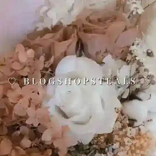 *:.｡. 𝐛𝐥𝐨𝐠𝐬𝐡𝐨𝐩𝐬𝐭𝐞𝐚𝐥𝐬 ♡🦋🤍 Profile