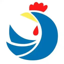 Chiligram چیلی گرام Profile