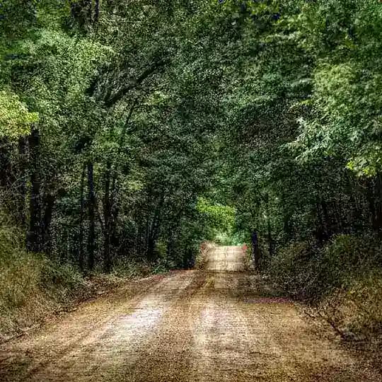 Dirt Road Discussions Profile