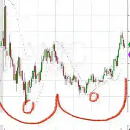 D MAN LOVES ME! Profile