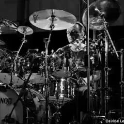 drums midi pack Profile