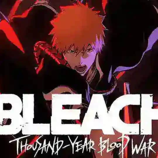 Bleach IN Hindi Dubbed Profile