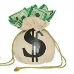 Earn online with proof Profile