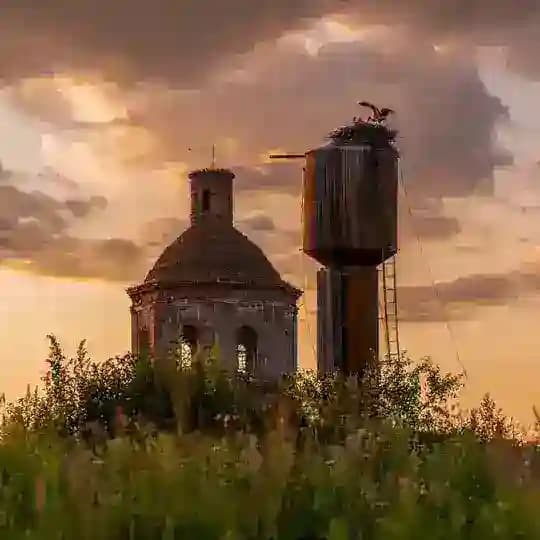 Елена Ефимова. Фотограф Profile