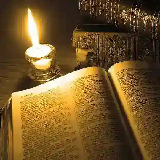 English Books Novels Profile