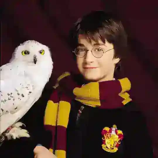 English with Harry Potter Profile