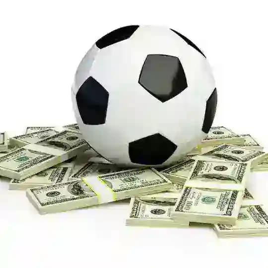 Fixed tips Dynasty® Profile