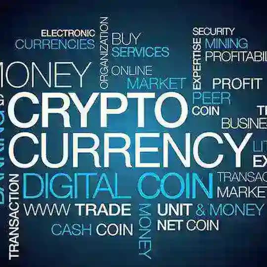 Follow Crypto | News | Economy | Cryptocurrency | NFT Profile
