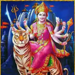 SHIVA SATTE KA EXPERT Profile