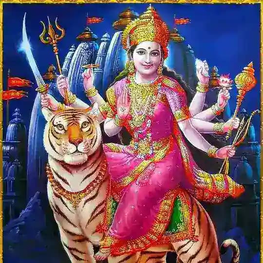 SHIVA SATTE KA EXPERT Profile