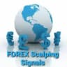 FOREX Scalping Signals 🏆🏆🏆