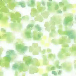 ily’s locket .☘︎ ݁˖ Profile