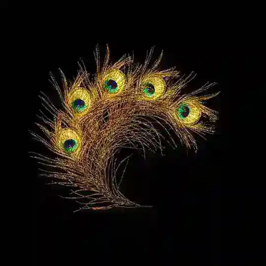 Jai Shri Krishna Book Profile