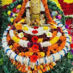 Mahakal Satta KGF Profile