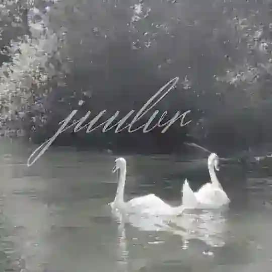 ꒰ა ‎juulvr 🦢₊✧ Profile